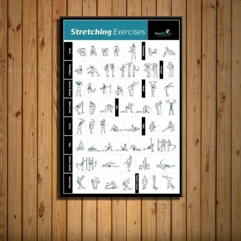 Vücut Egzersiz Eğitim Tablosu  - Badminton Poster incelemesi ve fiyatı
