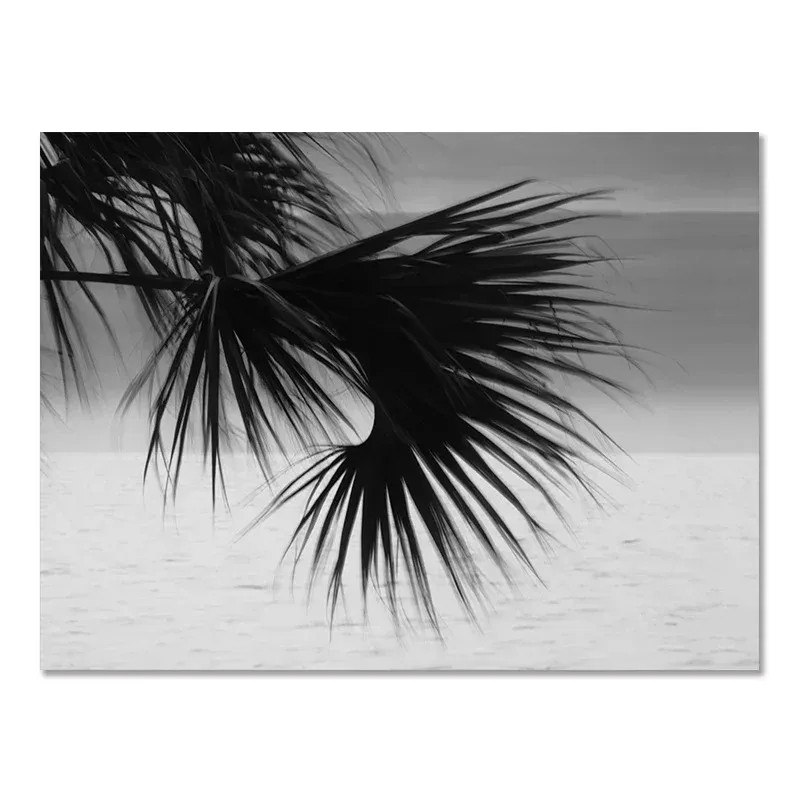(1 adet çerçevesiz) Plaj Campe - Badminton Poster incelemesi ve fiyatı